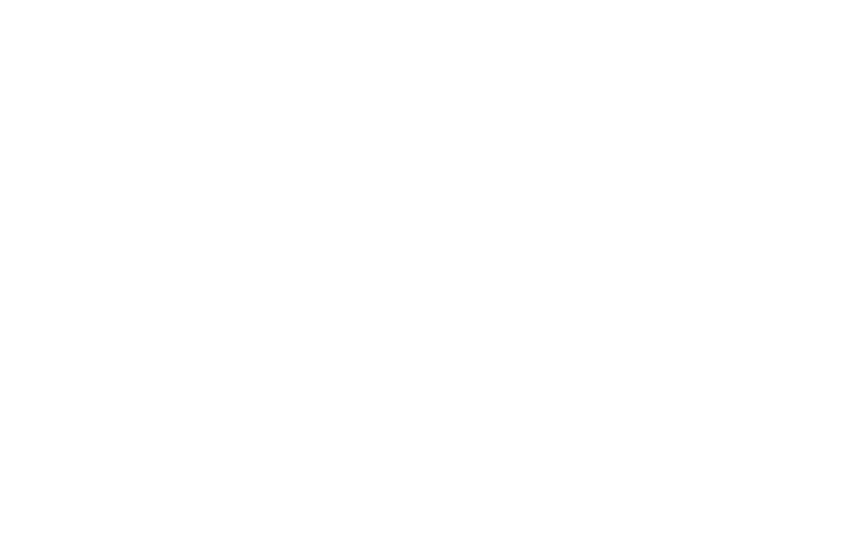 Family Solutions Group Insurance LLC