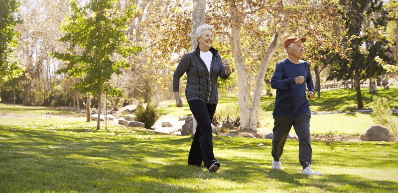 Two older adults jog together in a sunny park, surrounded by greenery and trees, promoting an active and healthy lifestyle.